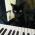 mojo the cat's picture